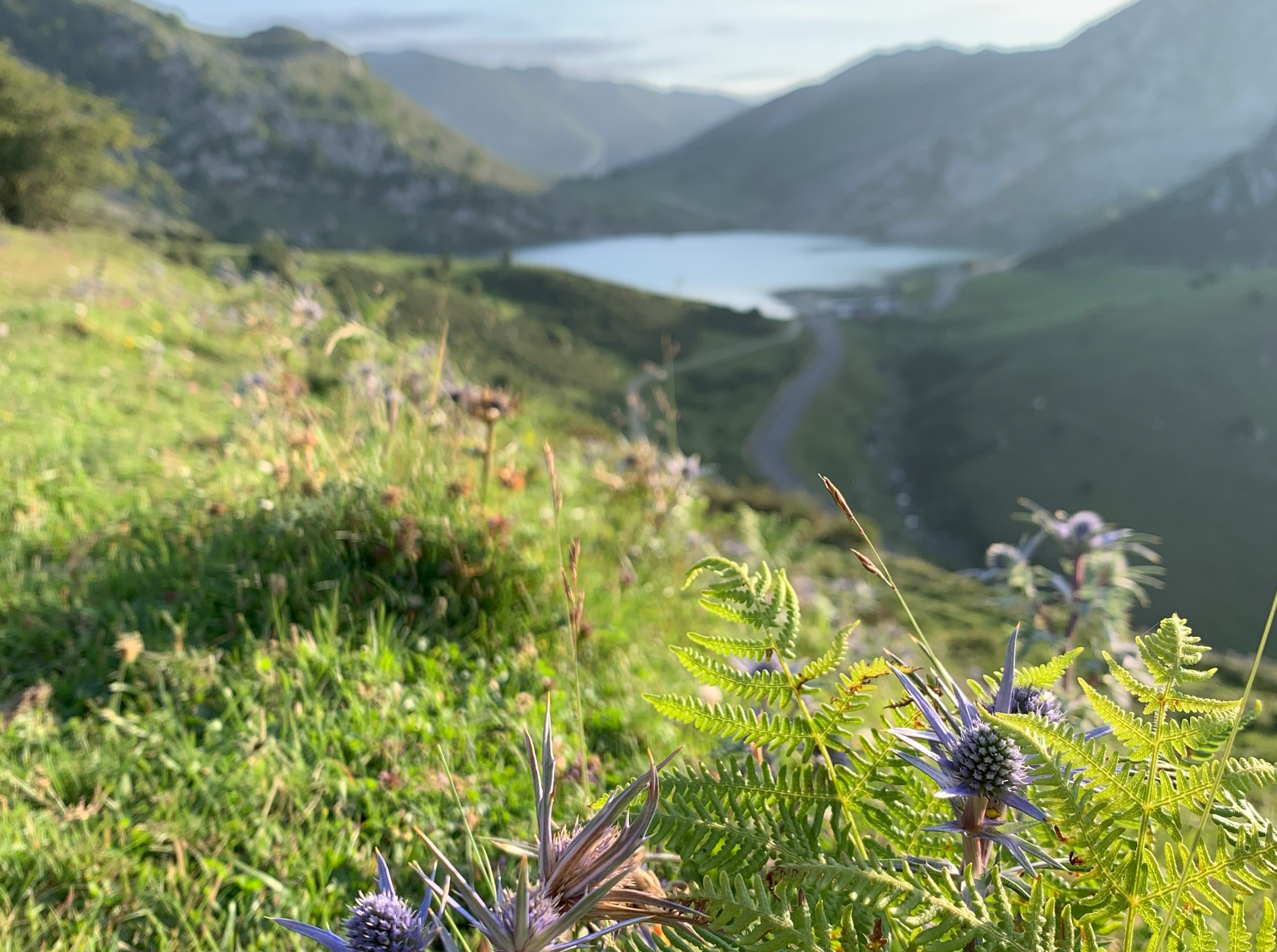 Vivac en Picos de Europa